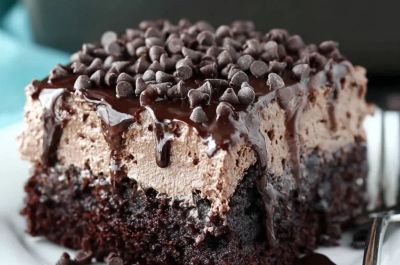 Delicious chocolate poke cake with chocolate drizzle and whipped cream topping.