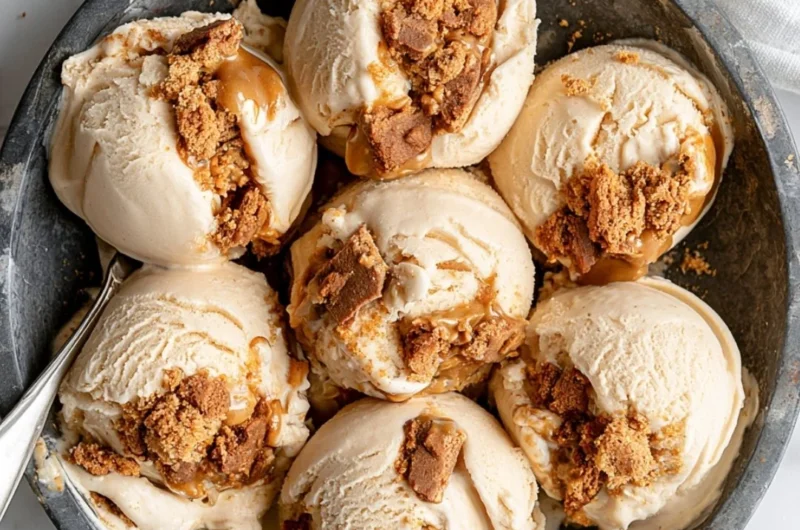 Creamy cookie butter ice cream in a bowl topped with cookie crumbles