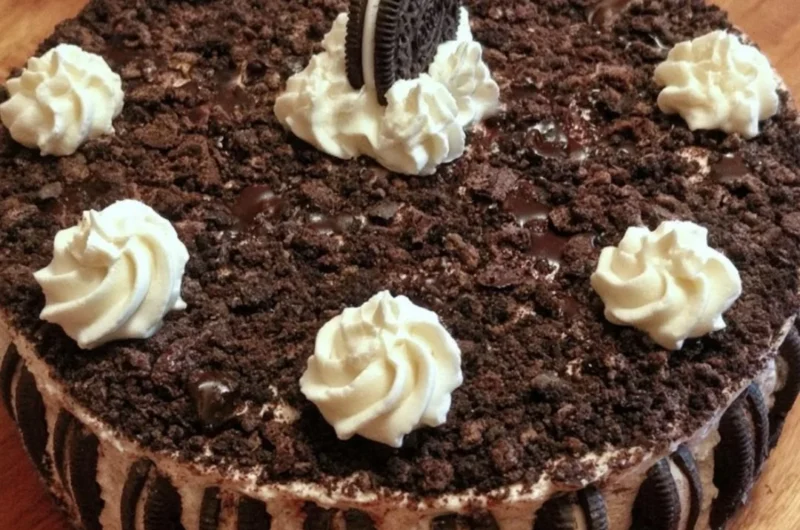 Oreo Easy Ice Cream Cake served with chocolate drizzle and crushed cookies